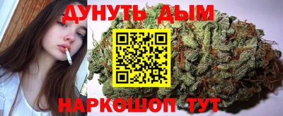 сатива Малоярославец