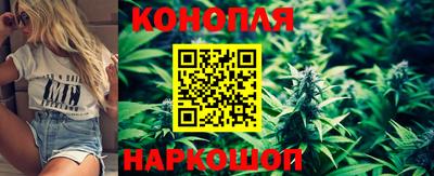 гидра Мариинск